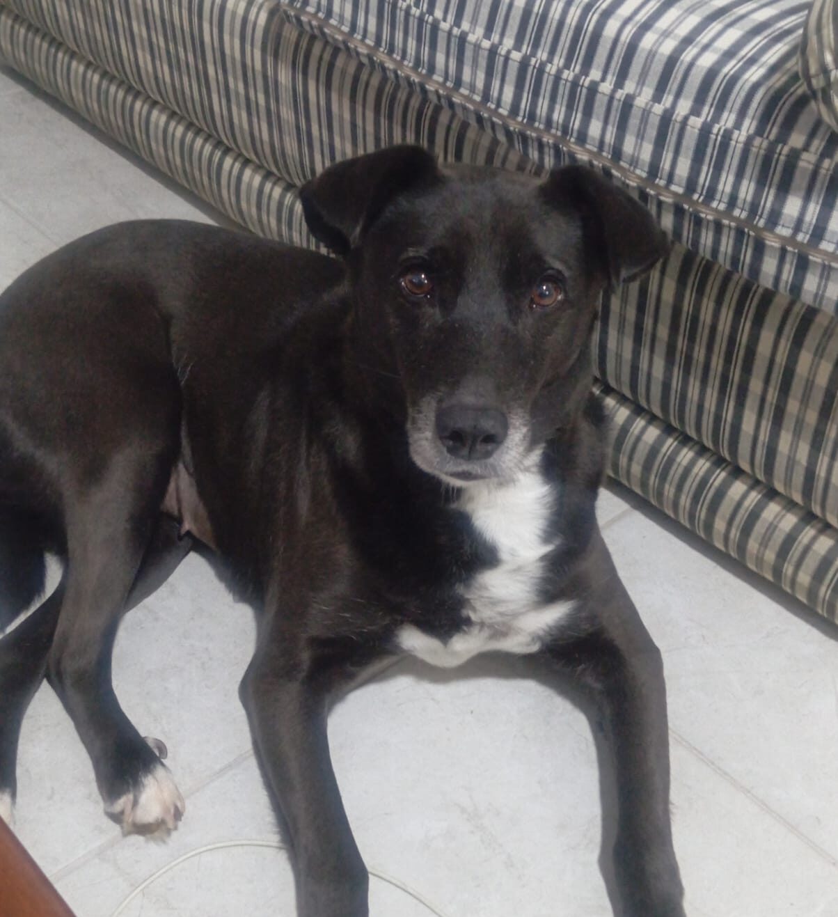 Dorinha